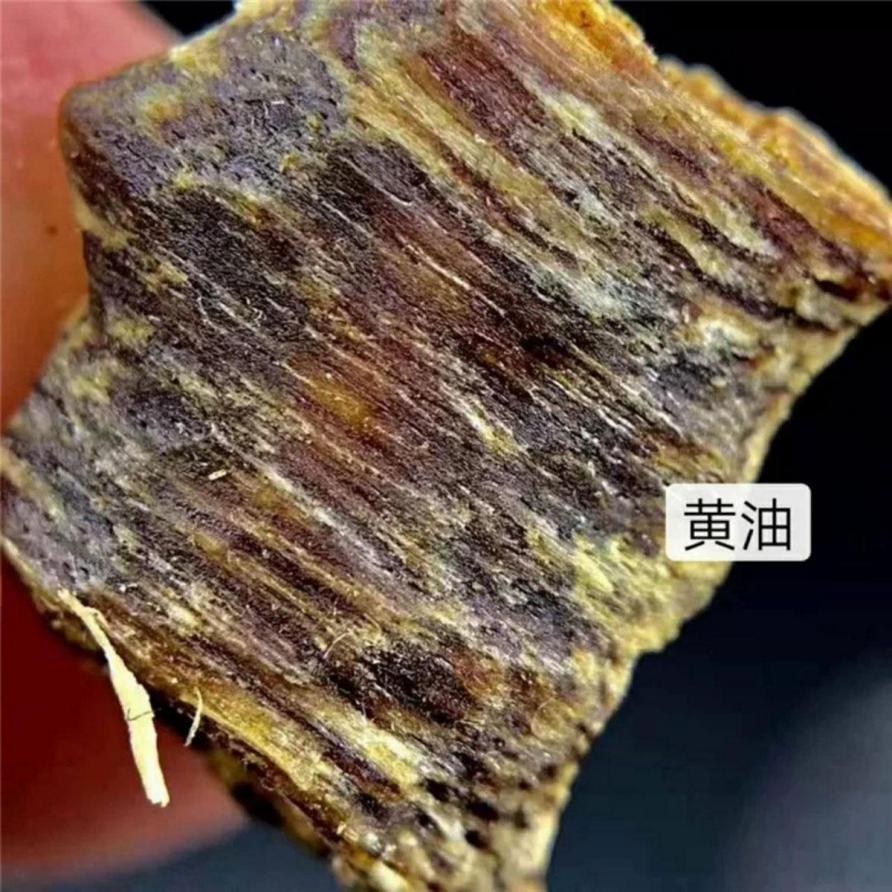Công dụng của Kỳ Nam