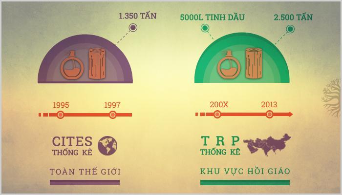 Thống kê nhu cầu của thi trường Trầm hương thế giới giai đoạn 1995-2015