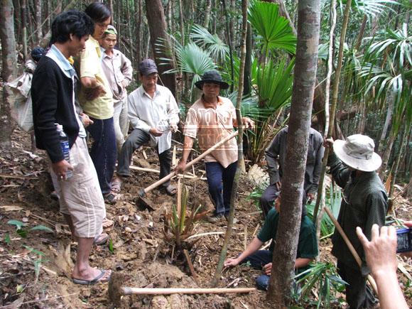 Trầm Hương Việt Nam