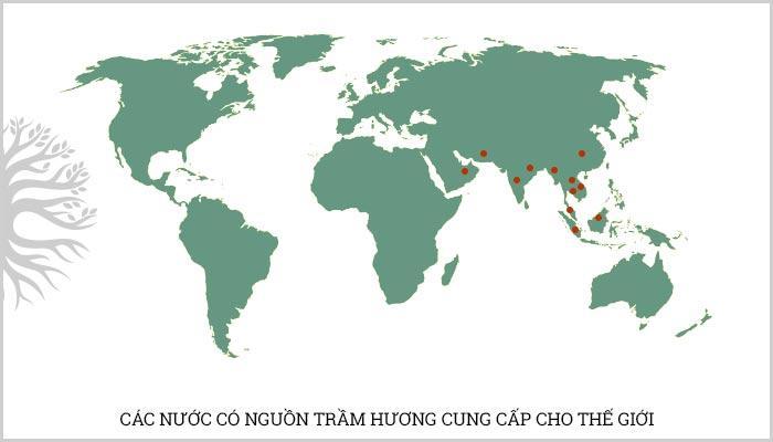 Bản đồ phân bố Trầm Hương trên thế giới