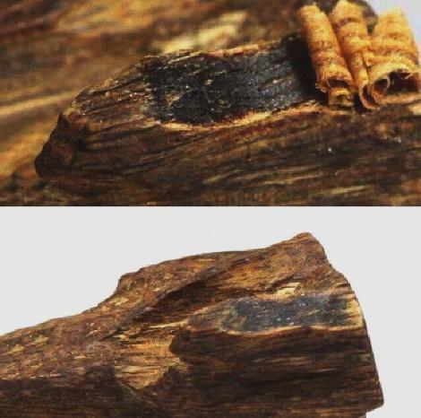 Cách nhận biết Kỳ nam