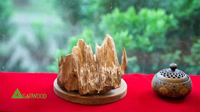 Cải thiện chức năng đường ruột
