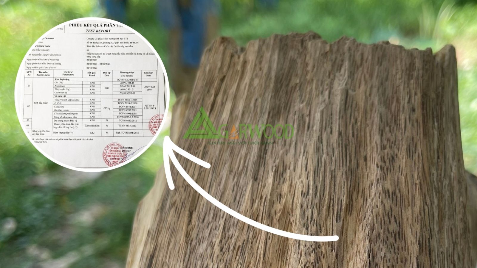 Trầm hương Sinh học có chứa 14 hợp chất tự nhiên như trầm rừng