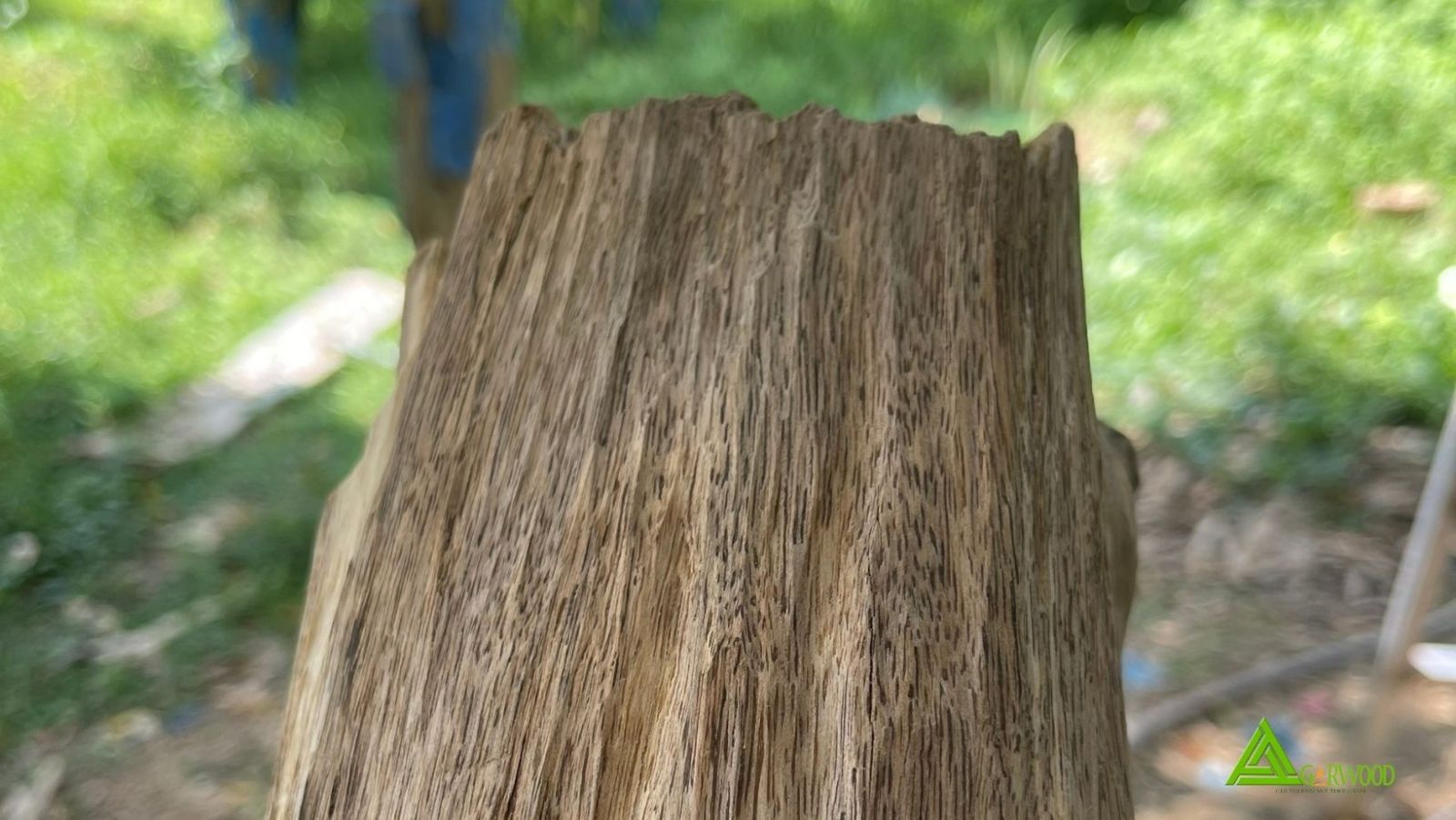 Trầm hương