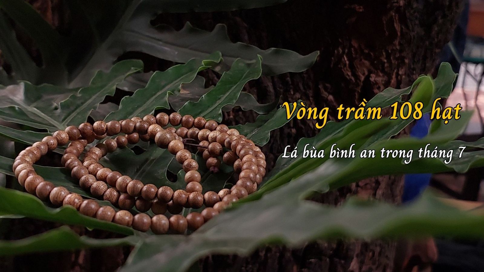 Vòng trầm hương 108 hạt
