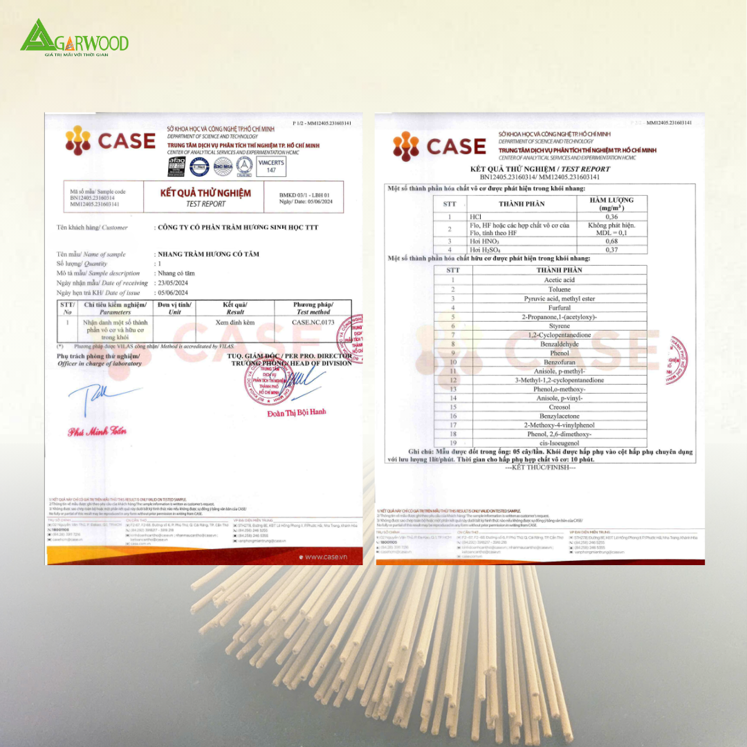 Nhang Cây PREMIUM Trầm Hương TTT (có tăm) mùi thơm nhẹ dễ chịu, ít khói không cay mắt, dùng thờ cúng, khử mùi thanh lọc không khí