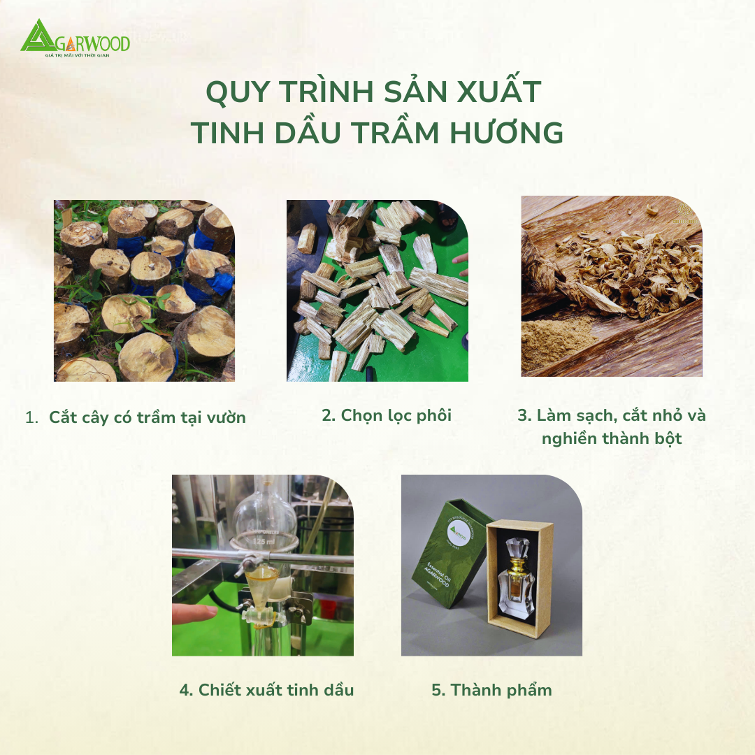 Tinh Dầu SCO2 Trầm Hương TTT hương thơm dịu nhẹ, dùng để xông, trị liệu, massage, hỗ trợ chăm sóc da và sức khỏe