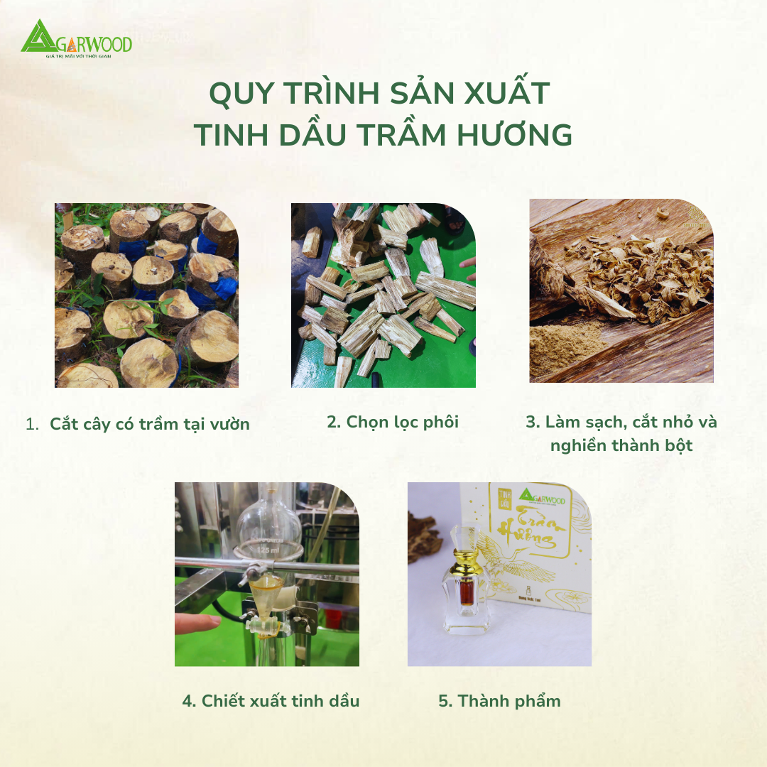 Tinh Dầu Chưng Cất Hơi Nước Trầm Hương TTT hương thơm dịu nhẹ, dùng để xông, trị liệu, massage, hỗ trợ chăm sóc da và sức khỏe