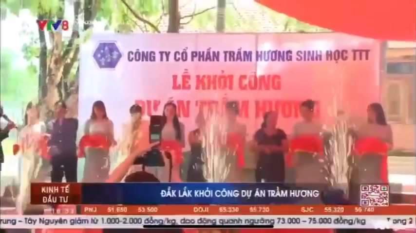 ĐÀI TRUYỀN HÌNH VTV8 ĐƯA TIN VỀ DỰ ÁN TRẦM HƯƠNG SINH HỌC TTT TẠI TỈNH ĐĂK LĂK