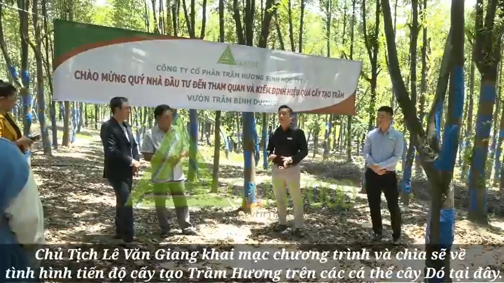 KIỂM TRA TIẾN ĐỘ SAU 03 THÁNG CẤY TẠO TRẦM HƯƠNG TẠI VƯỜN TRẦM BÌNH DƯƠNG
