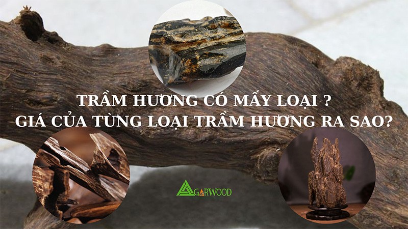 Trầm hương có mấy loại? Giá của từng loại trầm hương