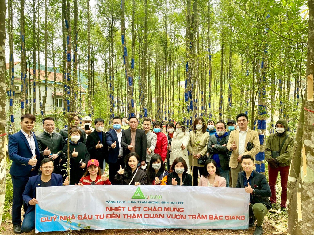 Vườn trầm Bắc Giang