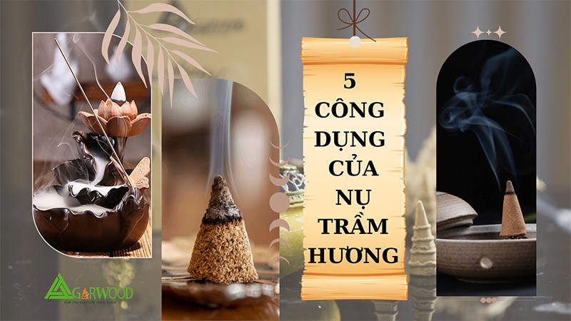 5 công dụng tuyệt vời của nụ trầm hương mà bạn cần lưu ý