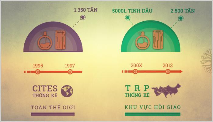 4 sự thật về thị trường trầm hương trên thế giới