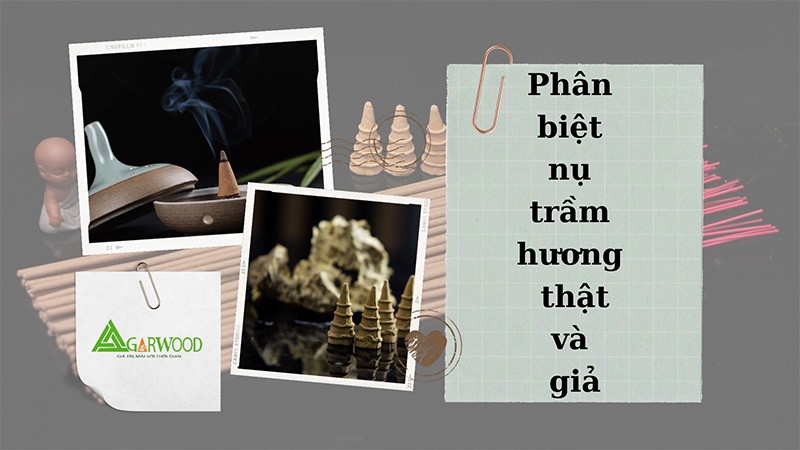 Phân biệt nụ trầm hương thật và nụ trầm hương giả