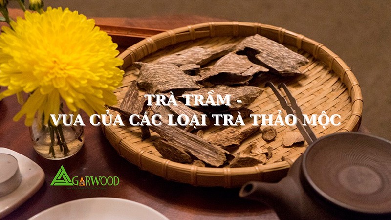 Trà trầm - vua của các loại trà thảo mộc