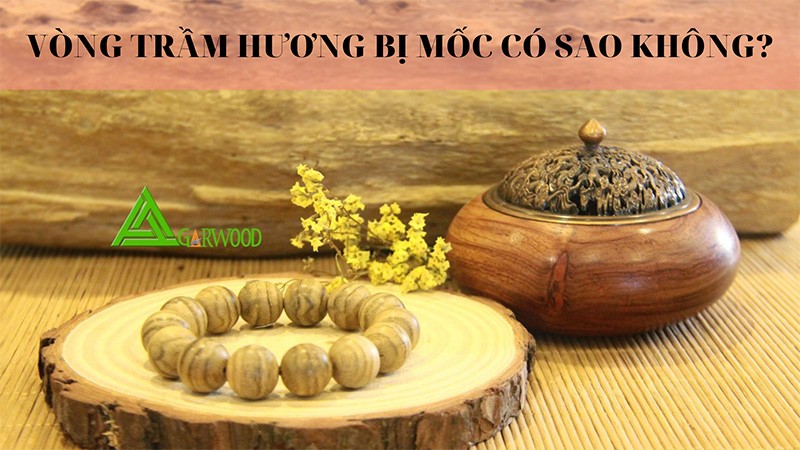 Vòng trầm hương bị mốc có sao không? Cách xử lý nhanh và hiệu quả nhất