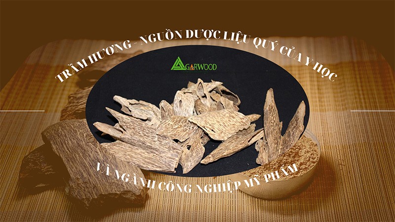 Trầm hương - nguồn dược liệu quý với y học  và ngành công nghiệp mỹ phẩm