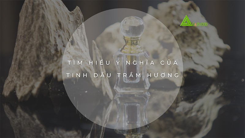 Tìm hiểu những ý nghĩa đặc biệt của tinh dầu trầm hương