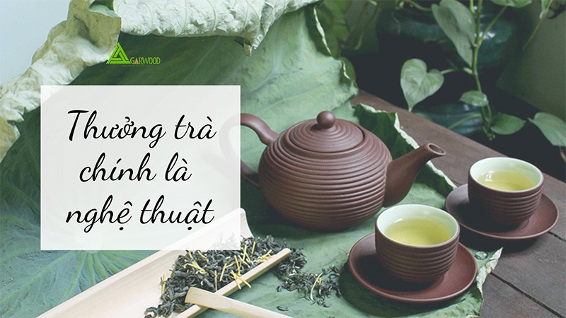 Thưởng trà là gì? Khám phá 3 văn hóa thưởng trà đặc sắc nhất thế giới