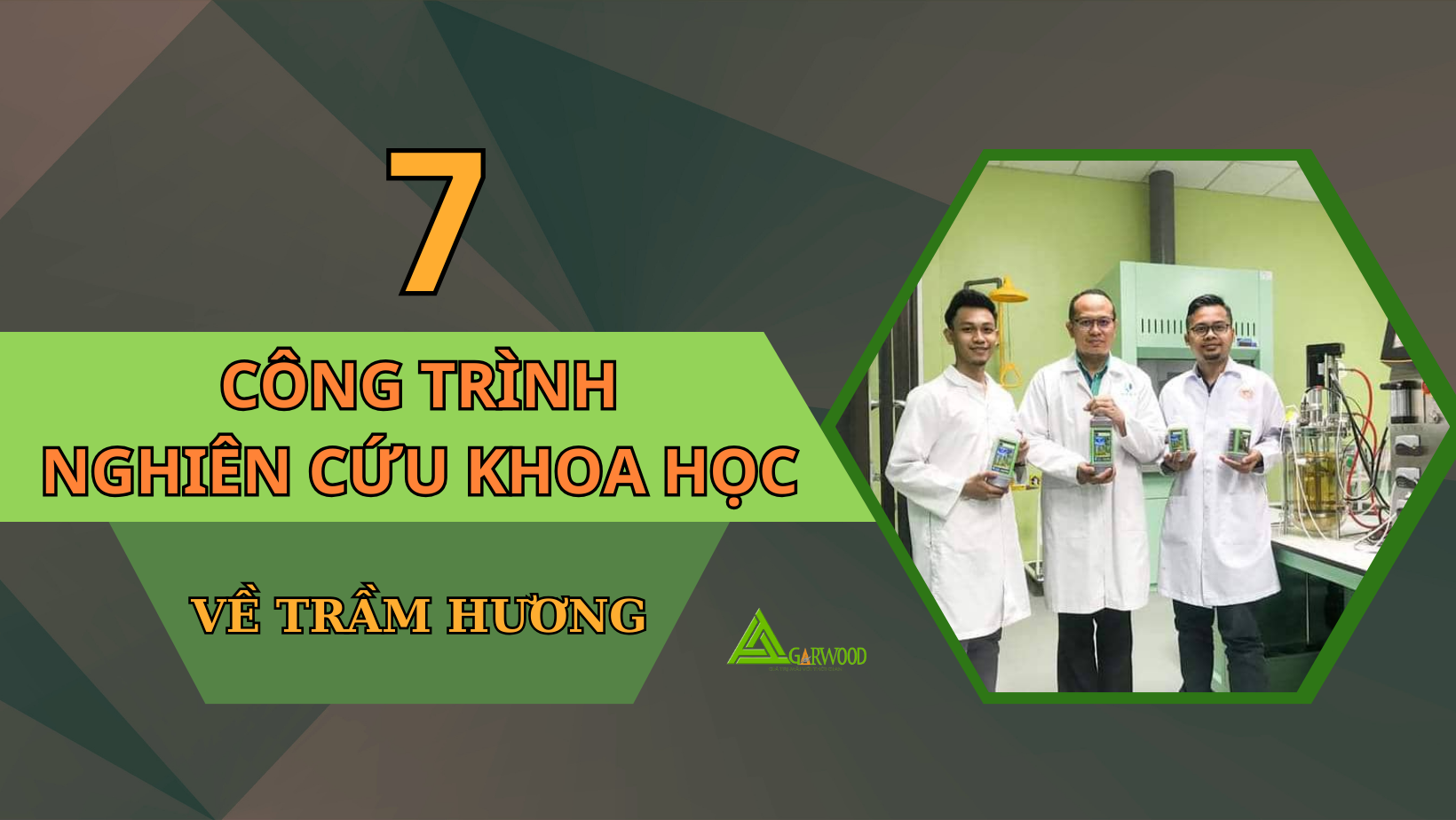 7 công trình nghiên cứu khoa học tiêu biểu về Trầm hương