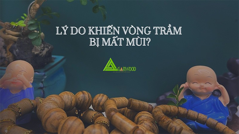 Lý do nào khiến vòng trầm hương bị mất mùi?