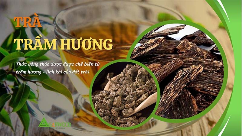 Trà trầm hương - Thức uống thảo dược đến từ loại gỗ mang linh khí của đất trời
