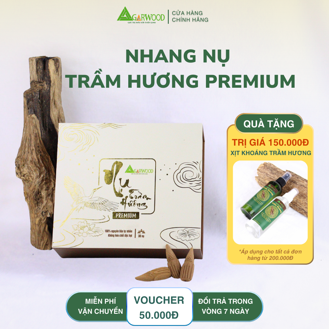 Nhang Nụ PREMIUM Trầm Hương TTT mùi thơm nhẹ dễ chịu, ít khói không cay mắt, dùng thờ cúng, khử mùi thanh lọc không khí