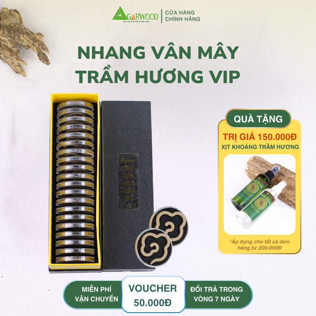 Nhang Vân Mây VIP Trầm Hương TTT mùi nhẹ dễ chịu dùng thờ cúng, thư giãn, khử mùi thanh lọc không khí